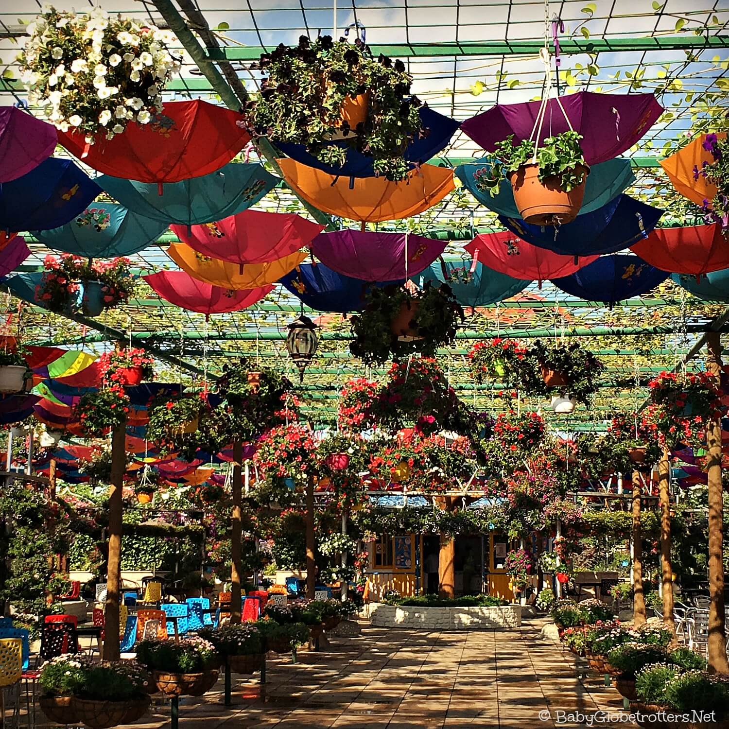 Discover Dubai Miracle Garden... with Kids • Our Globetrotters